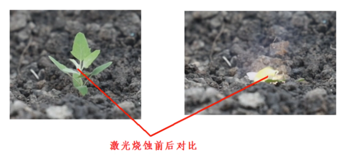 Basic principle of Laser weeding