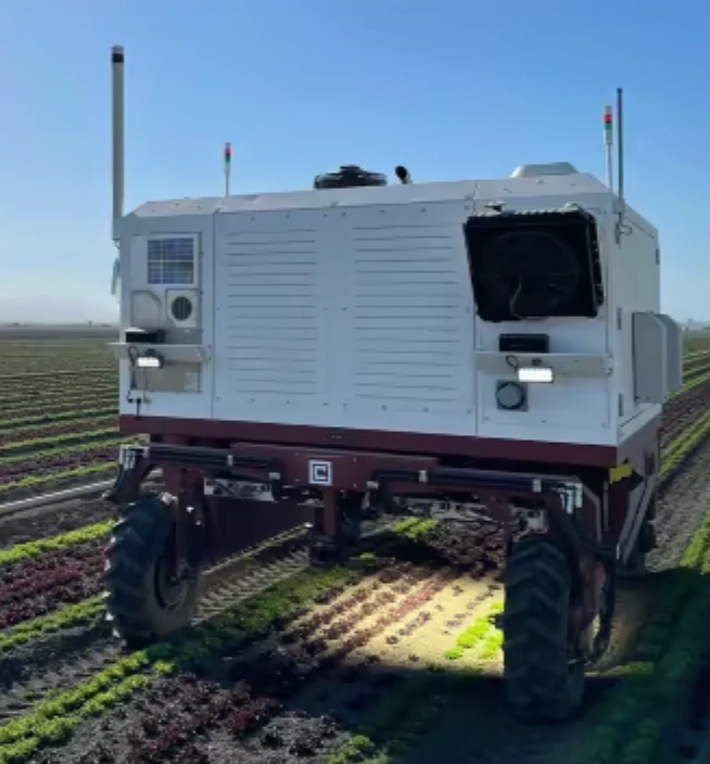 Disadvantages of laser weeding